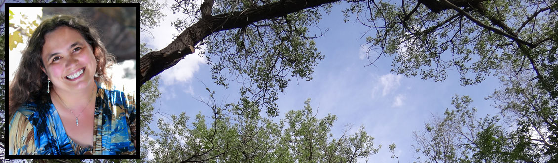 Kari Sanders | Project Management | Strategic Management | Mentoring | Speaker | Consultant | Author